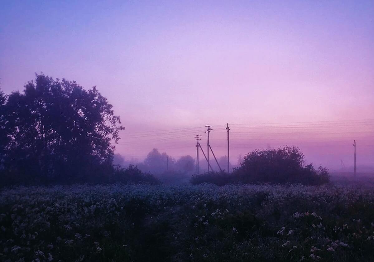 樊振东天价签约费曝光！球队经理：德甲历史最高，既冒险又难得